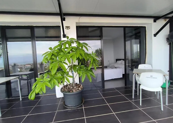 Pinar * トレモリノス